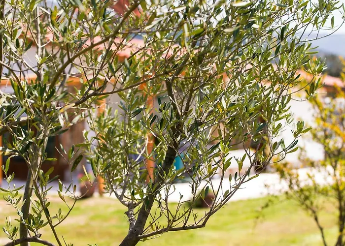 Apartahotel Blue Breeze